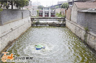 清水繞城，生態煥新 我市探索治理黑臭河道新路徑